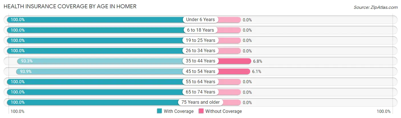 Health Insurance Coverage by Age in Homer