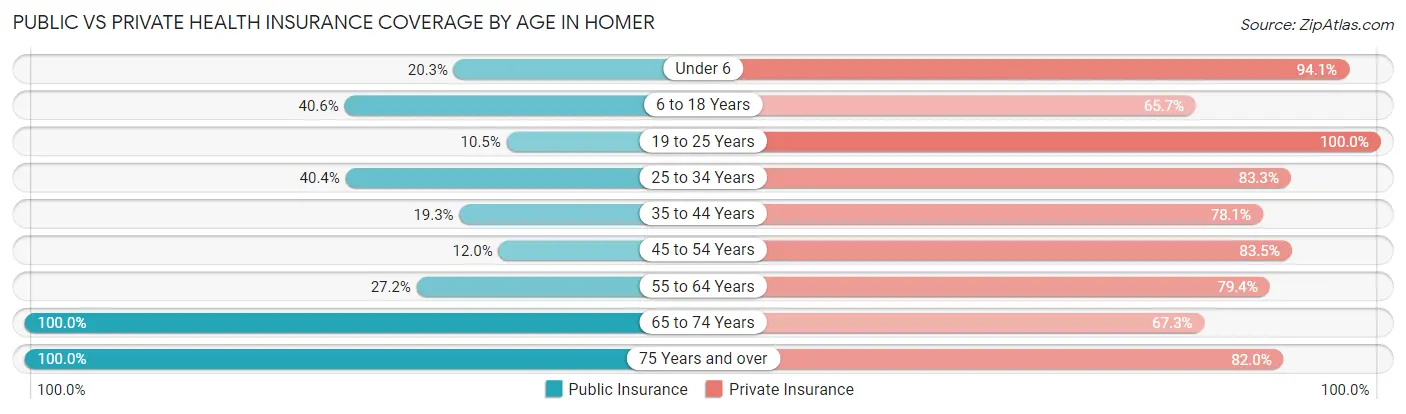 Public vs Private Health Insurance Coverage by Age in Homer