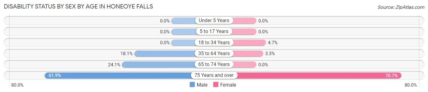 Disability Status by Sex by Age in Honeoye Falls