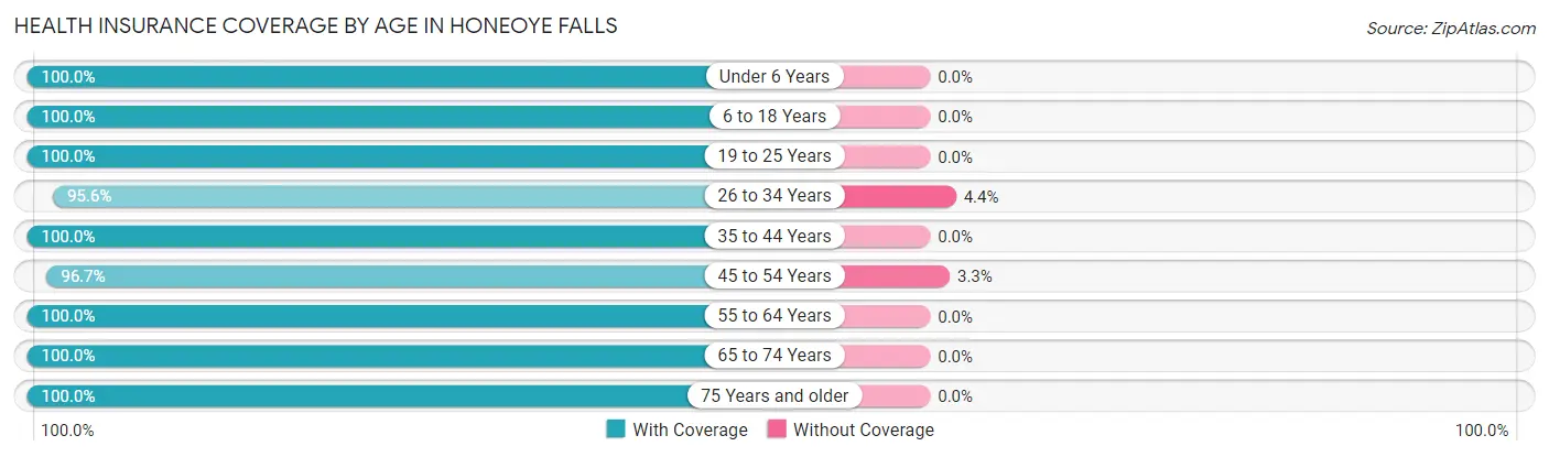 Health Insurance Coverage by Age in Honeoye Falls