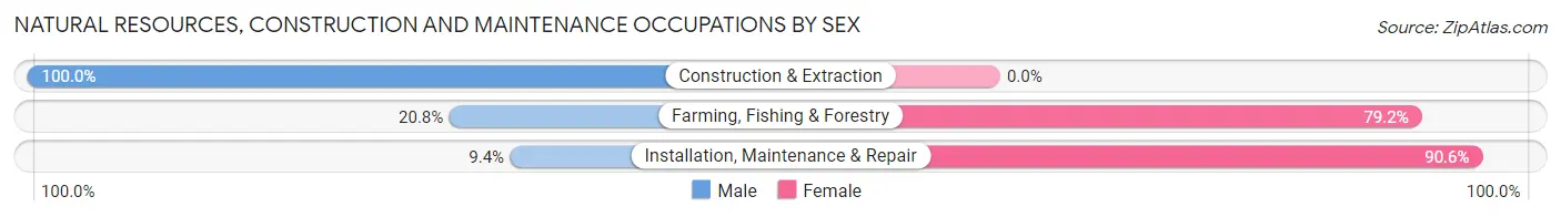 Natural Resources, Construction and Maintenance Occupations by Sex in Honeoye Falls