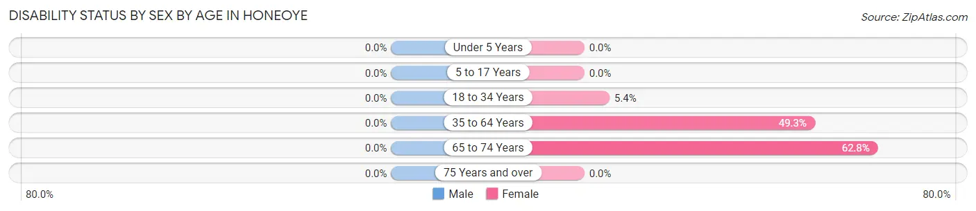 Disability Status by Sex by Age in Honeoye