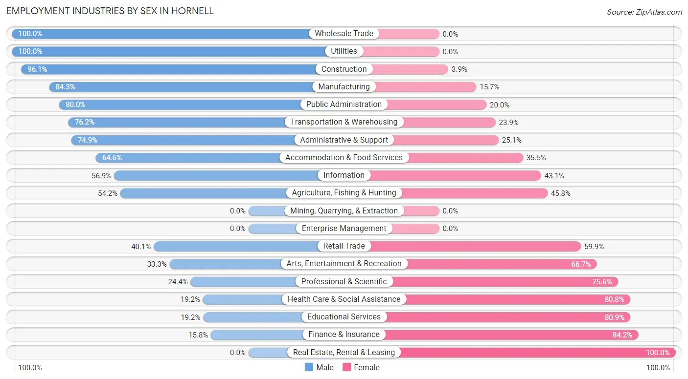 Employment Industries by Sex in Hornell