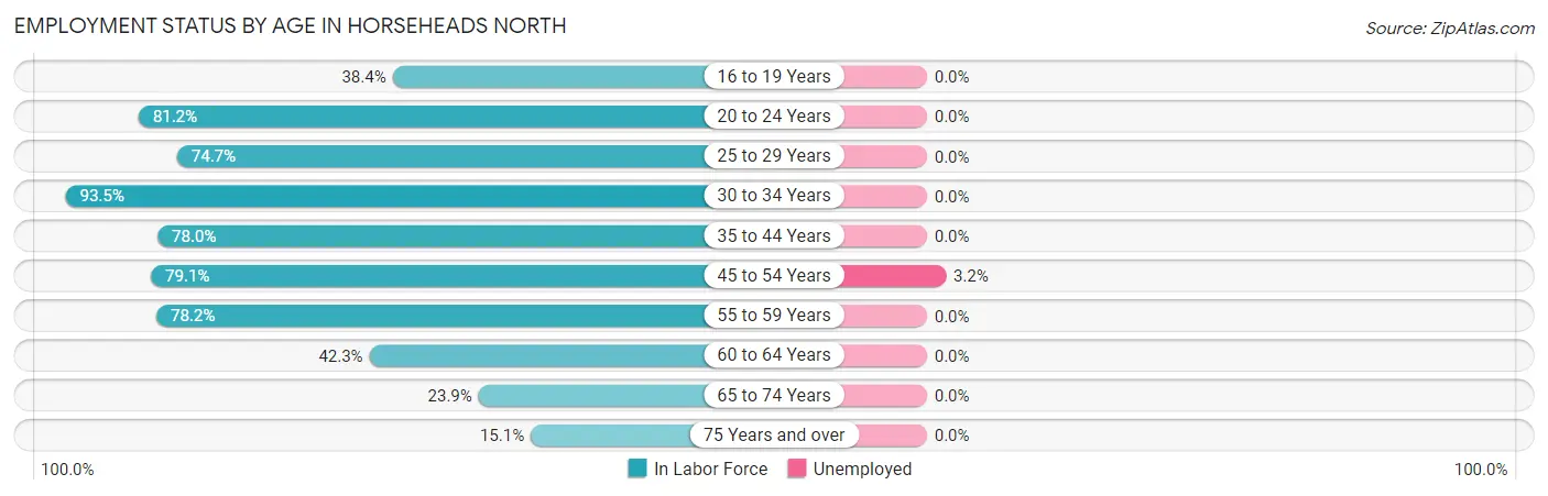 Employment Status by Age in Horseheads North