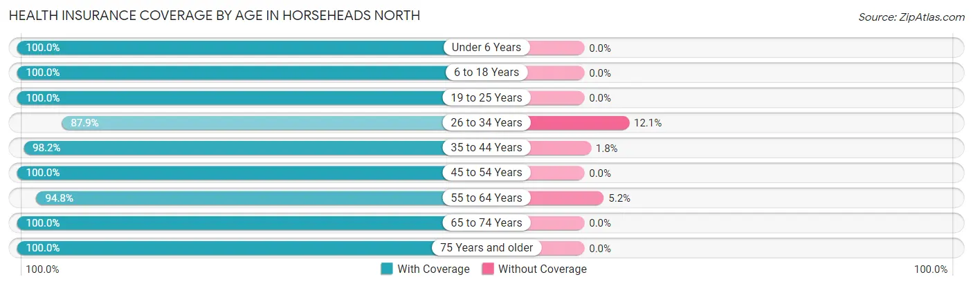 Health Insurance Coverage by Age in Horseheads North