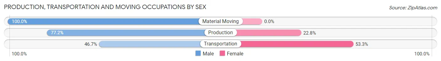 Production, Transportation and Moving Occupations by Sex in Horseheads North