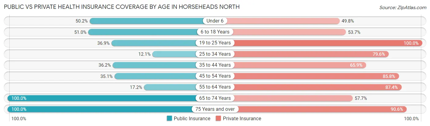 Public vs Private Health Insurance Coverage by Age in Horseheads North