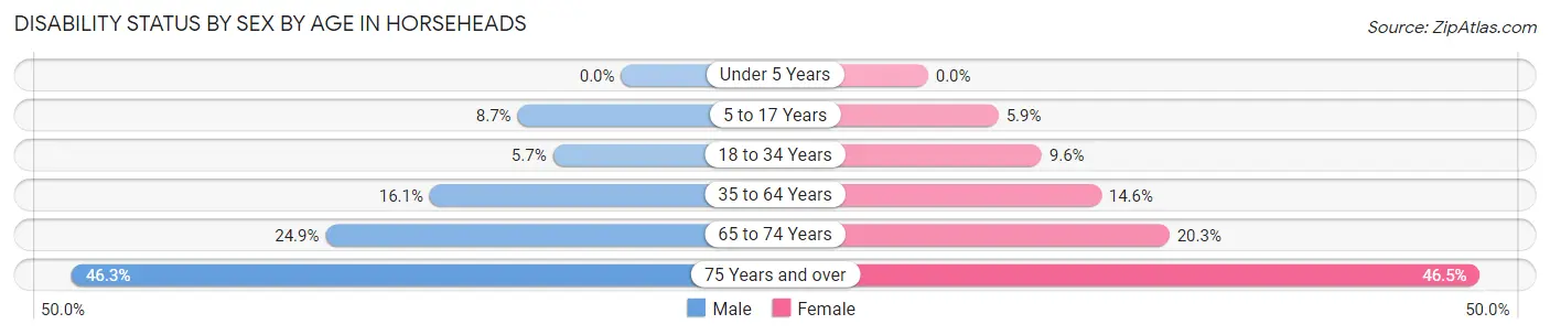 Disability Status by Sex by Age in Horseheads