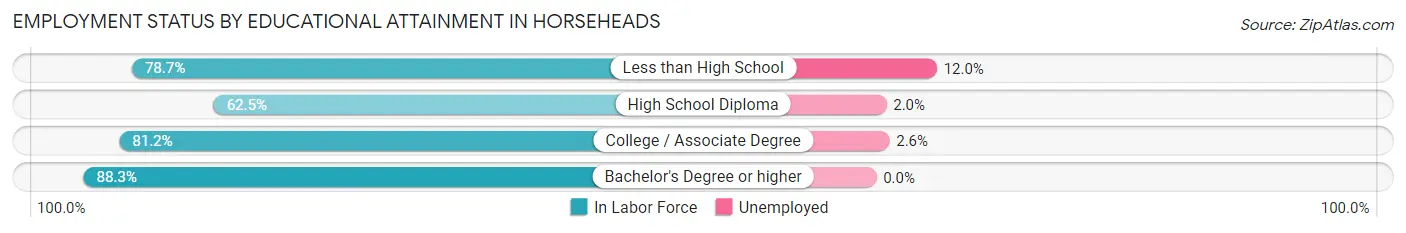 Employment Status by Educational Attainment in Horseheads