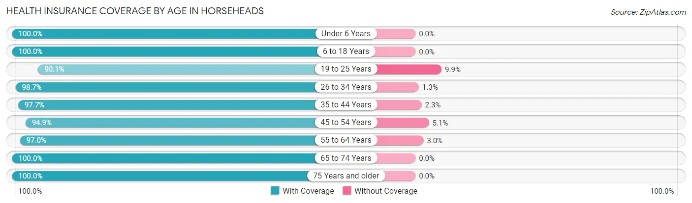 Health Insurance Coverage by Age in Horseheads