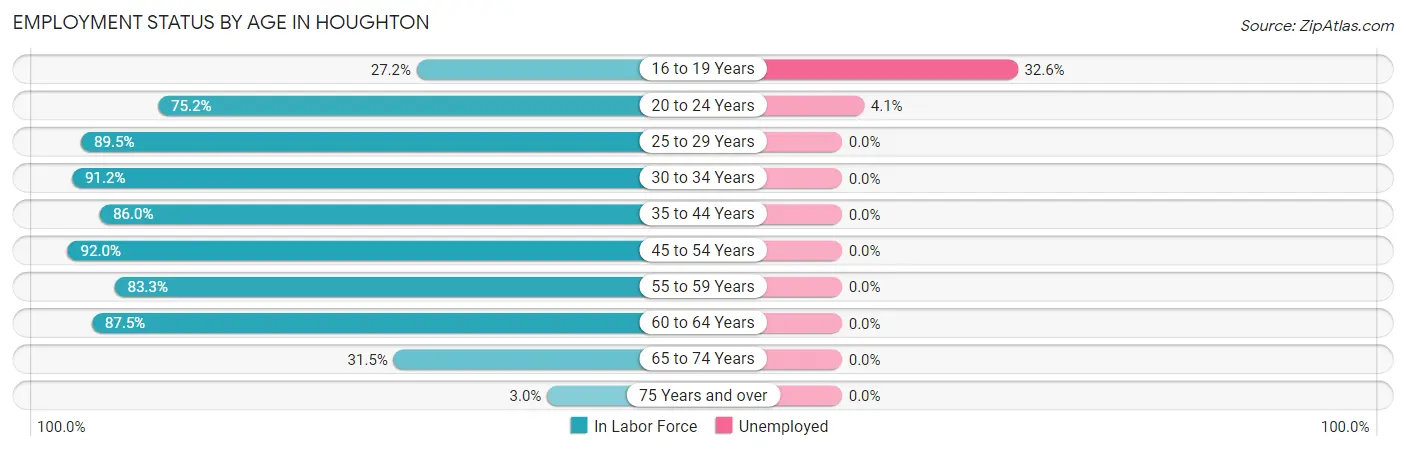Employment Status by Age in Houghton
