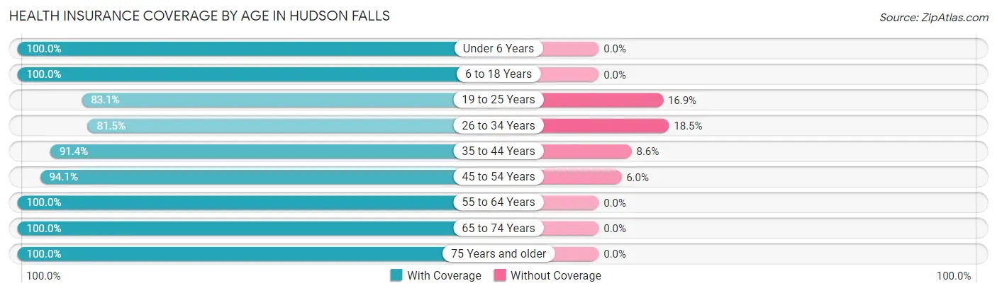 Health Insurance Coverage by Age in Hudson Falls