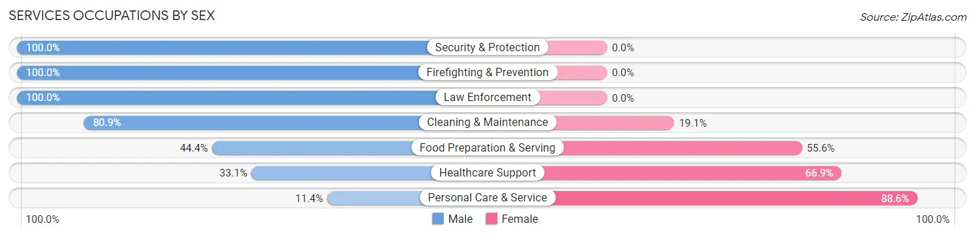 Services Occupations by Sex in Hudson Falls
