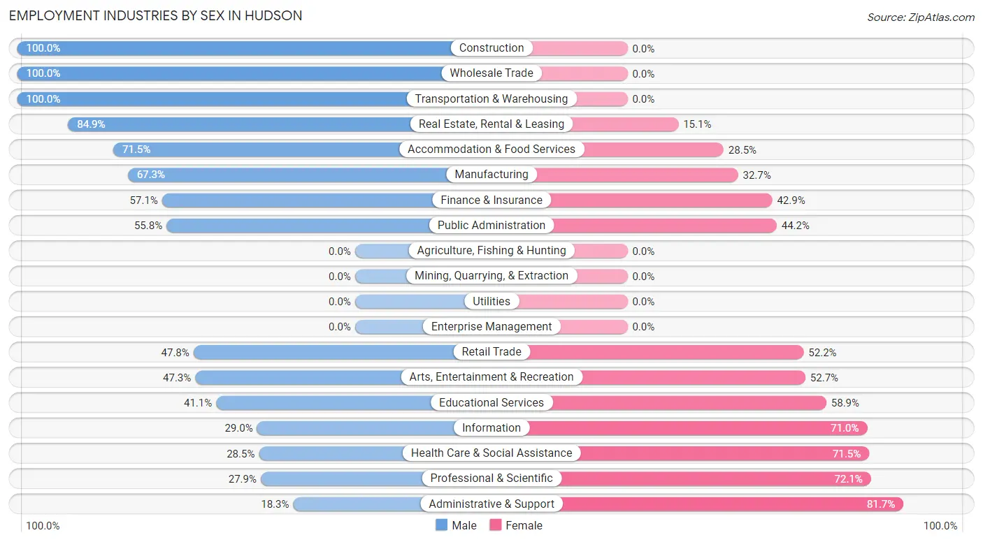 Employment Industries by Sex in Hudson