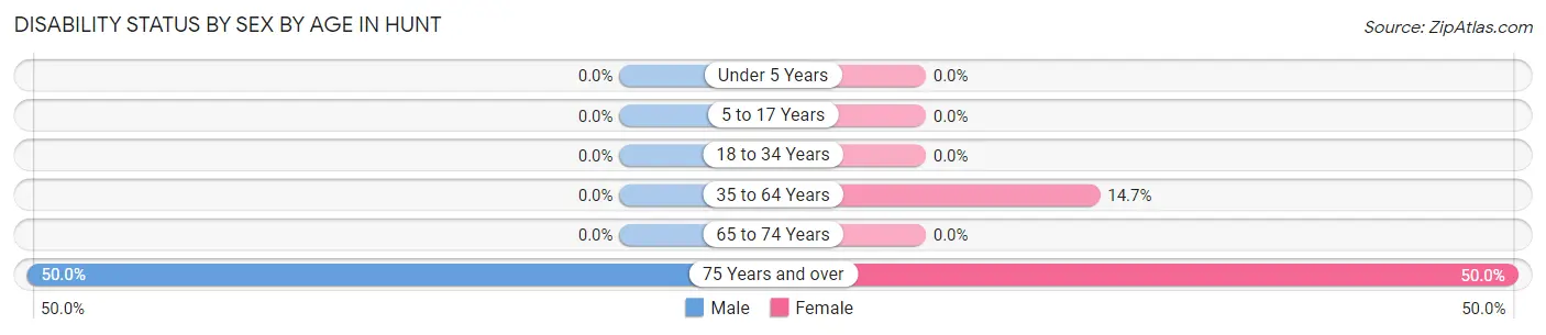 Disability Status by Sex by Age in Hunt