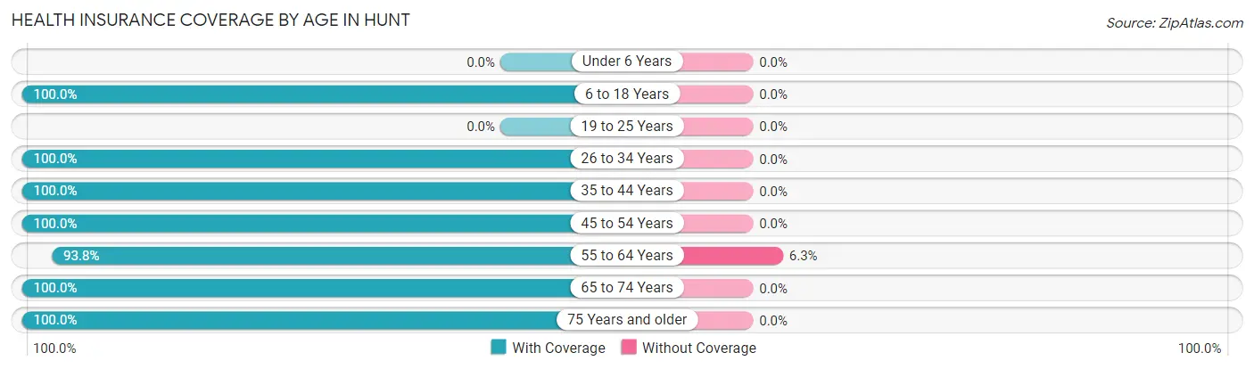 Health Insurance Coverage by Age in Hunt