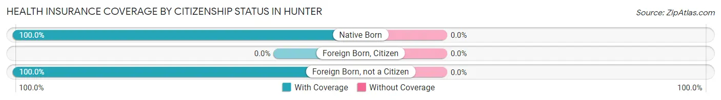 Health Insurance Coverage by Citizenship Status in Hunter