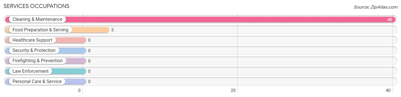 Services Occupations in Hunter