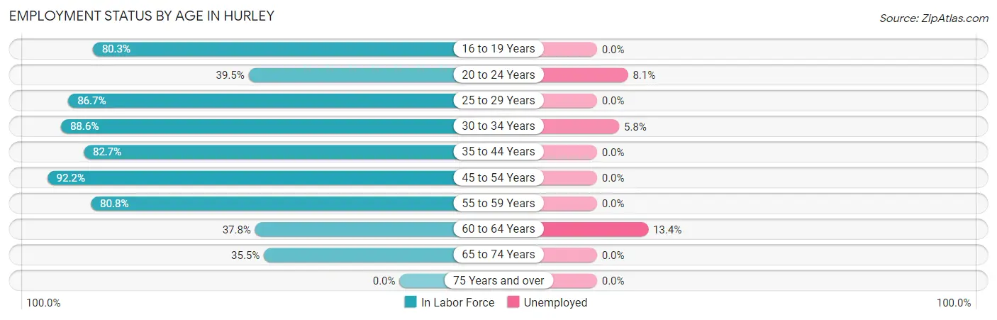 Employment Status by Age in Hurley