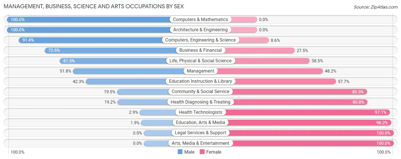 Management, Business, Science and Arts Occupations by Sex in Islandia