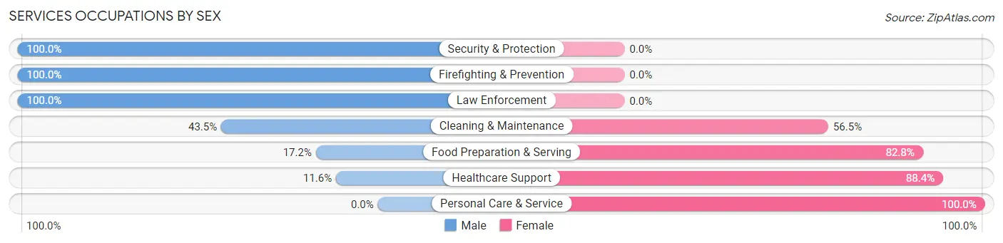 Services Occupations by Sex in Islandia