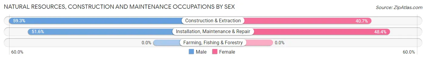 Natural Resources, Construction and Maintenance Occupations by Sex in Jericho