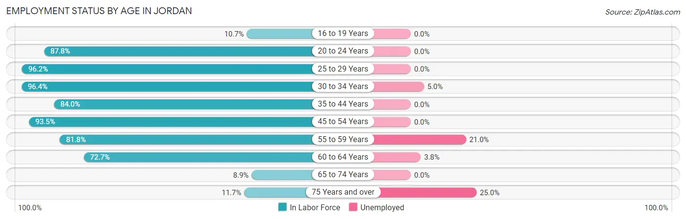 Employment Status by Age in Jordan