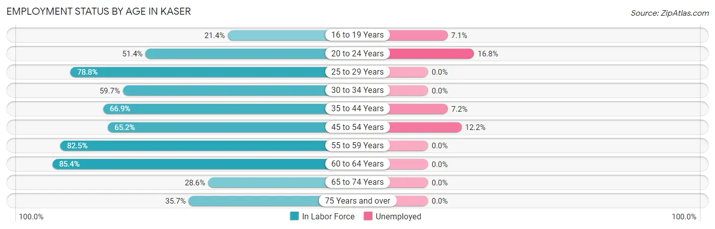 Employment Status by Age in Kaser