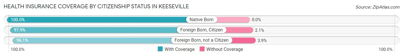 Health Insurance Coverage by Citizenship Status in Keeseville