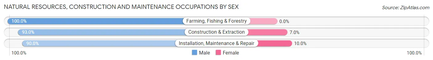 Natural Resources, Construction and Maintenance Occupations by Sex in Kenmore