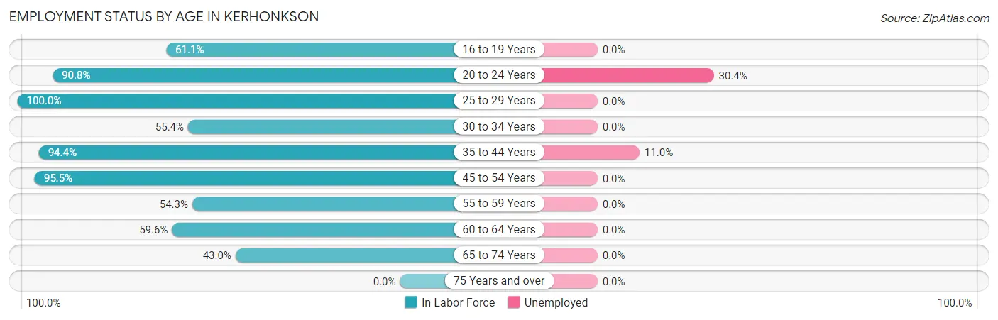 Employment Status by Age in Kerhonkson