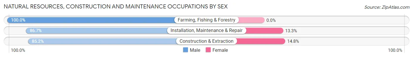 Natural Resources, Construction and Maintenance Occupations by Sex in Kings Park