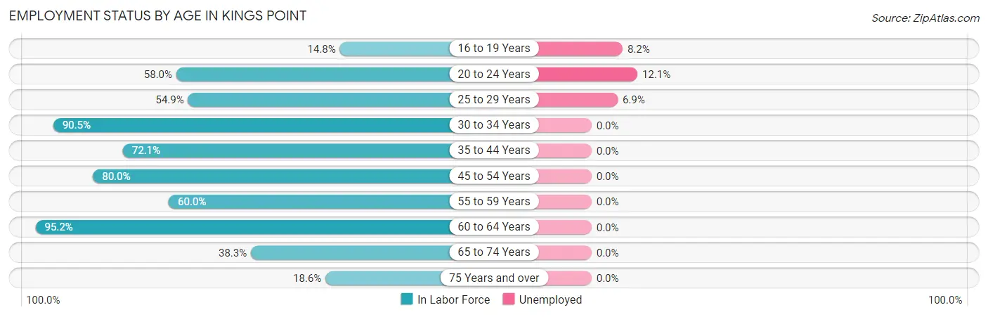 Employment Status by Age in Kings Point