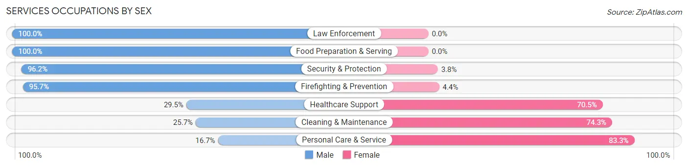 Services Occupations by Sex in Kings Point