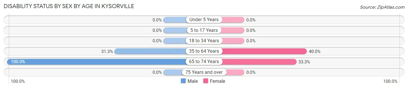 Disability Status by Sex by Age in Kysorville