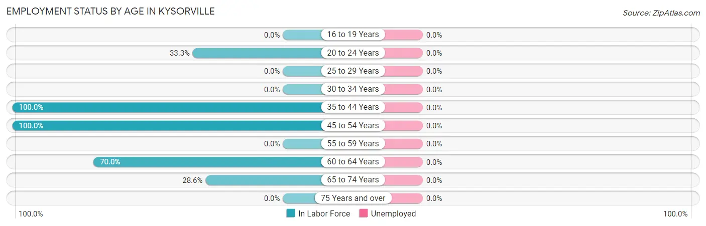 Employment Status by Age in Kysorville