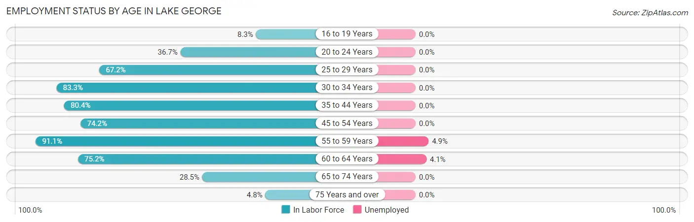 Employment Status by Age in Lake George