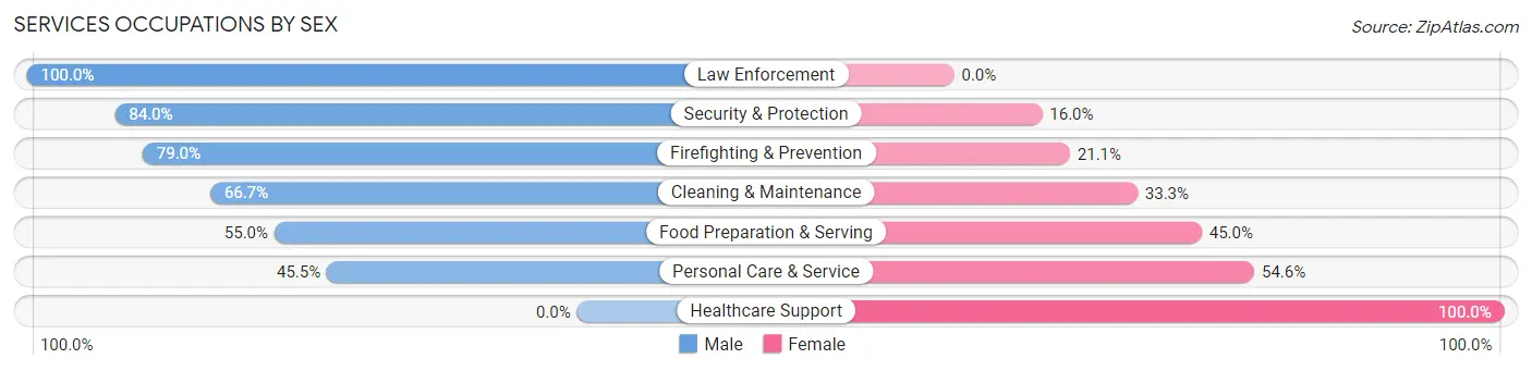 Services Occupations by Sex in Lake George