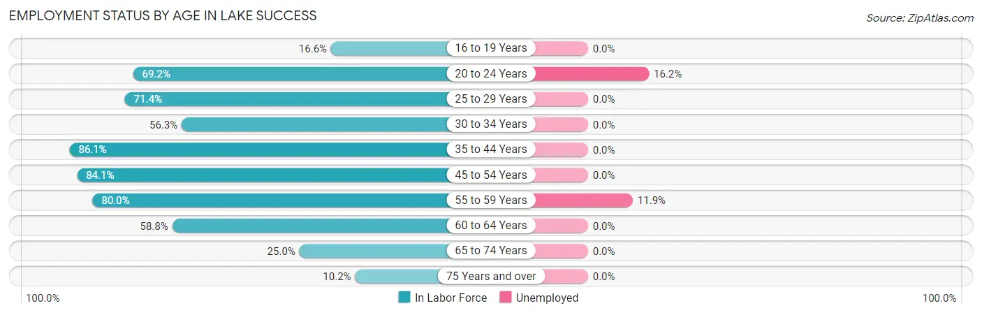 Employment Status by Age in Lake Success