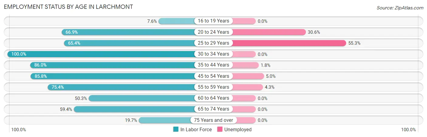 Employment Status by Age in Larchmont