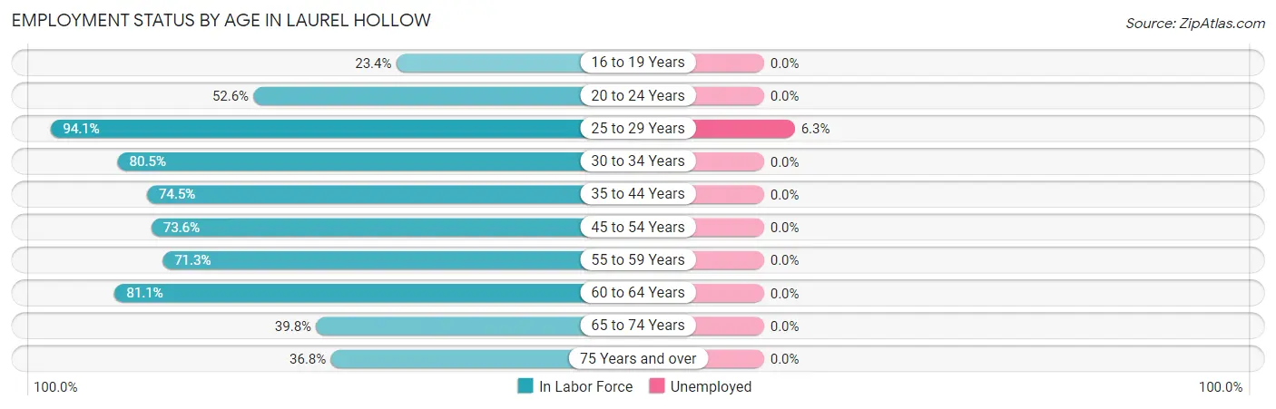 Employment Status by Age in Laurel Hollow