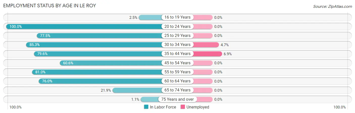 Employment Status by Age in Le Roy