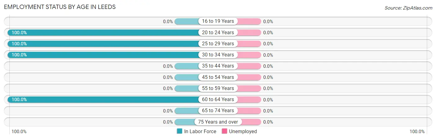 Employment Status by Age in Leeds