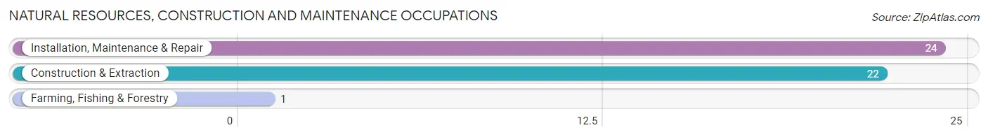 Natural Resources, Construction and Maintenance Occupations in Leicester