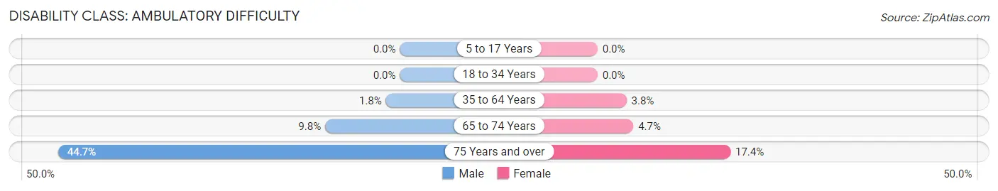 Disability in Lewiston: <span>Ambulatory Difficulty</span>