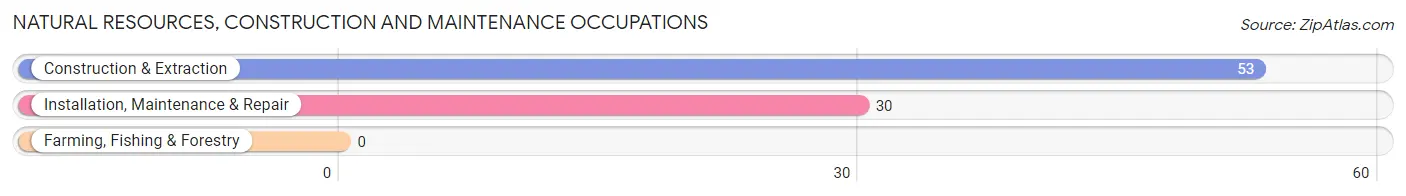 Natural Resources, Construction and Maintenance Occupations in Liberty