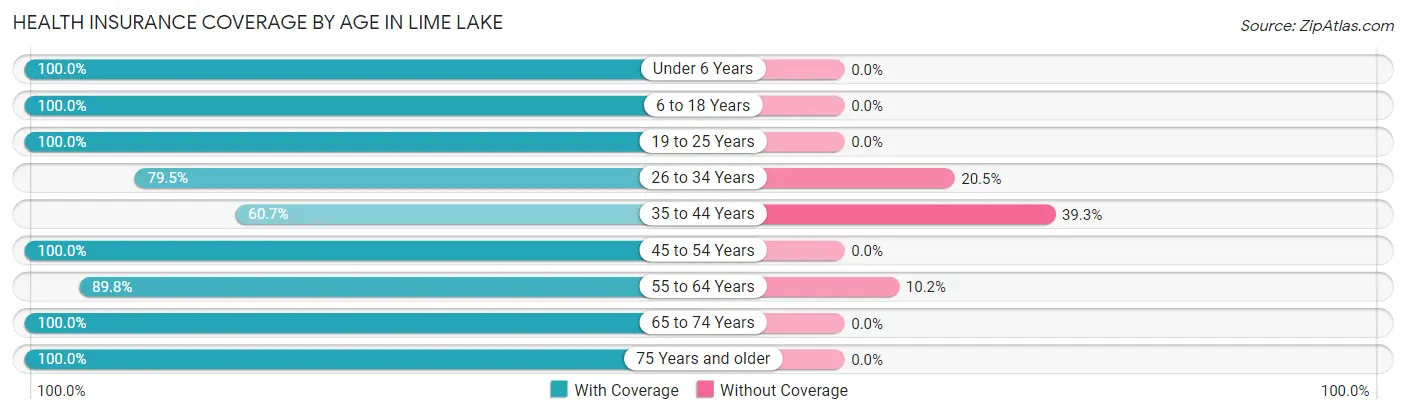 Health Insurance Coverage by Age in Lime Lake