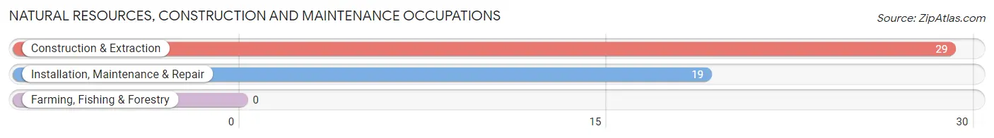 Natural Resources, Construction and Maintenance Occupations in Lime Lake