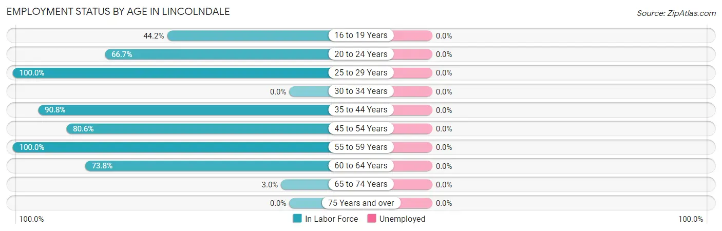 Employment Status by Age in Lincolndale