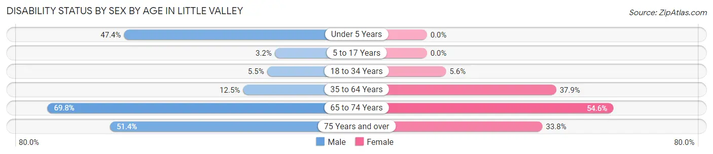 Disability Status by Sex by Age in Little Valley